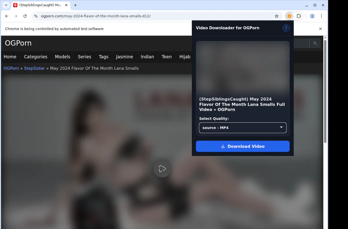 Ogporn Video Downloader screenshot 3