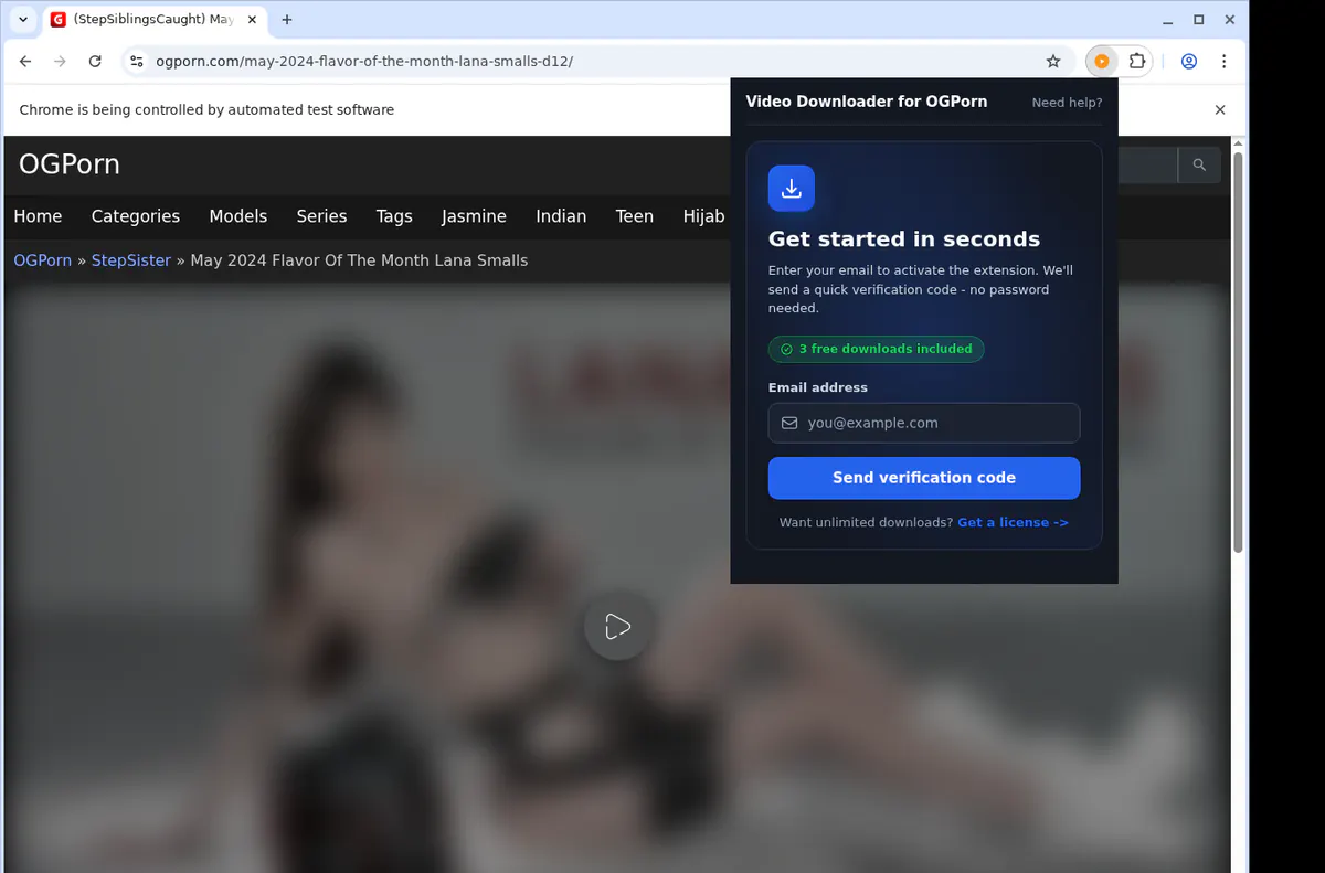 Ogporn Video Downloader screenshot 5